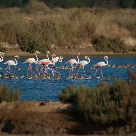 ホテル リア パーク ＆ スパ 5*