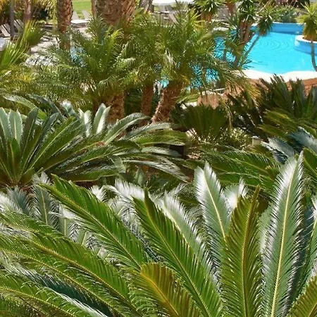 Ria Park Hotel&spa Hotel 5*